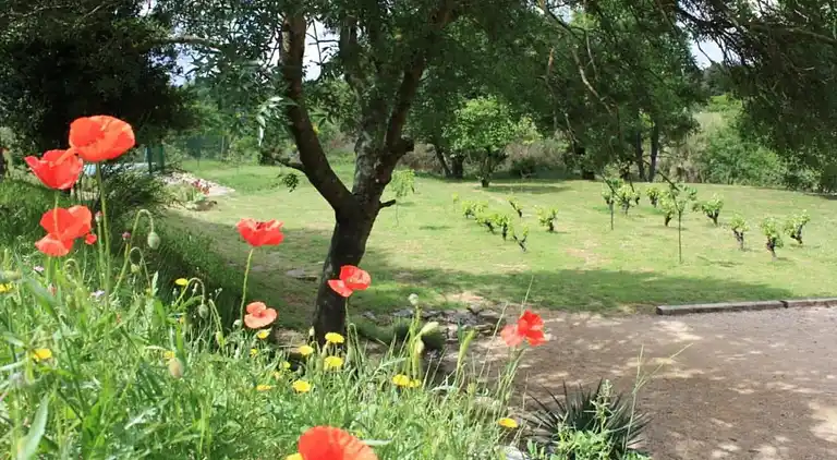 Casa de vacaciones en Moussan