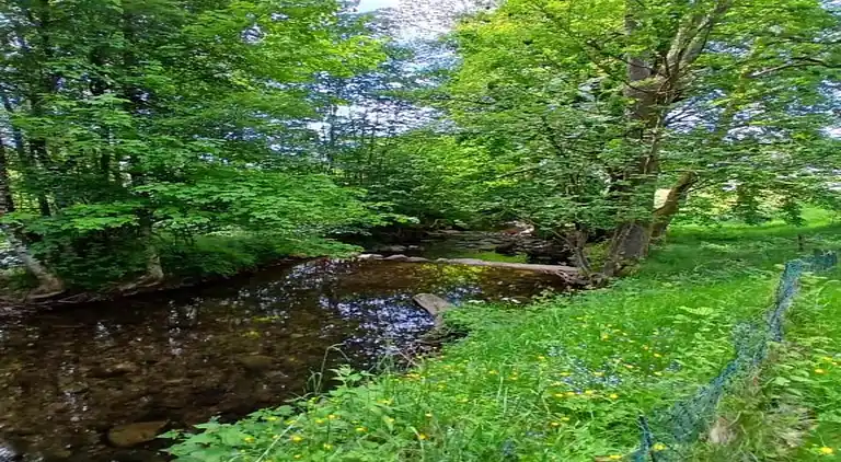 Hytte i Saint-Maurice-sur-Moselle