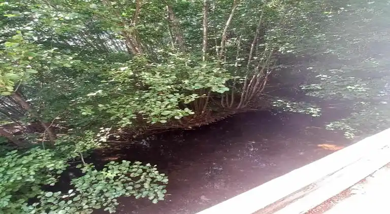 Hytte i Saint-Maurice-sur-Moselle