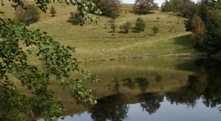 Hytte i Saint-Maurice-sur-Moselle