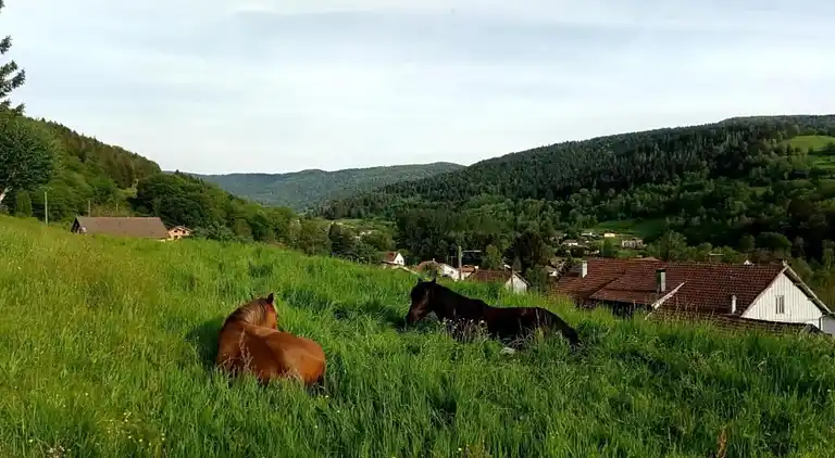 Hytte i Saint-Maurice-sur-Moselle