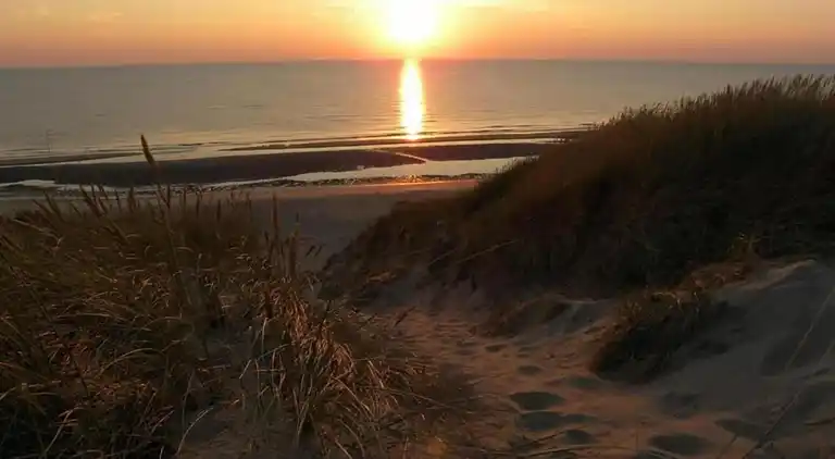 Villa in Hippolytushoef