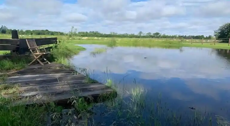 Villa in Hippolytushoef