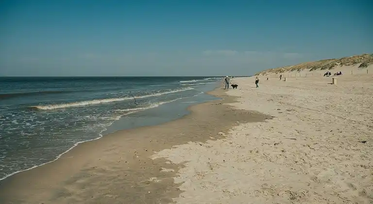 Holiday home in South Holland