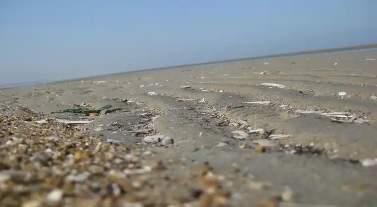 Holiday home in South Holland