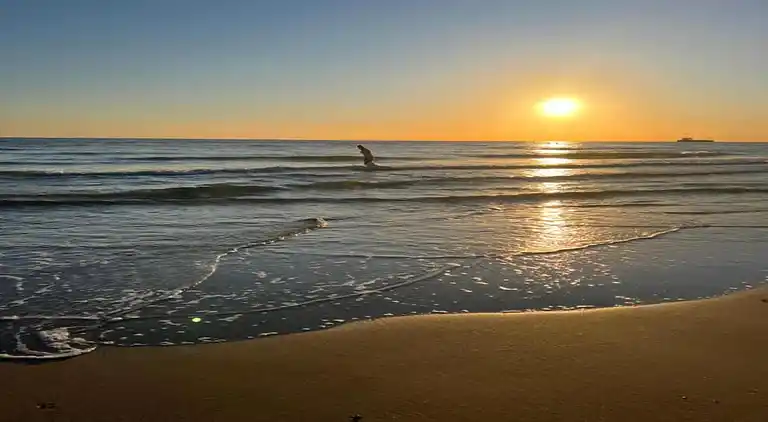 Ferielejlighed i Koudekerke