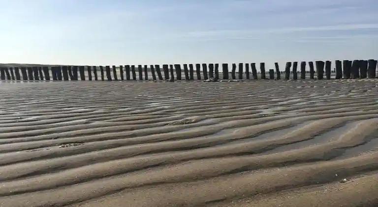 Ferielejlighed i Koudekerke