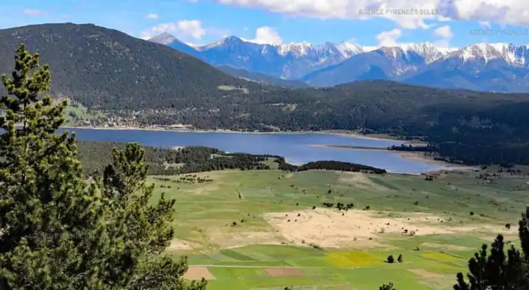 Holiday home in De Bult