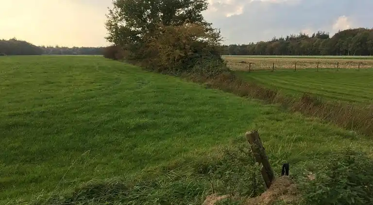 Semesterbostad i Sint Nicolaasga