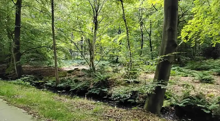 Sommerhus i Sint Nicolaasga