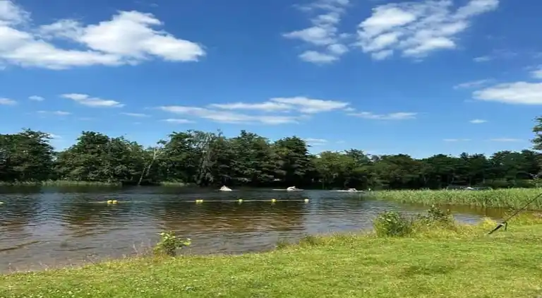 Sommerhus i Sint Nicolaasga