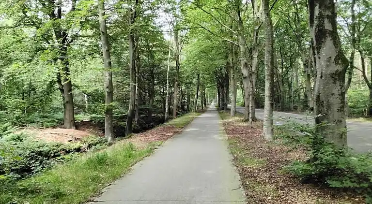 Semesterbostad i Sint Nicolaasga