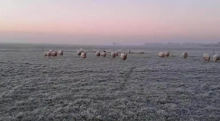 Holiday home in Sint Nicolaasga