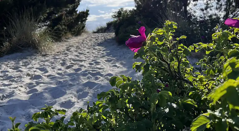 Gemütlich saniertes Haus auf großem Privatgrund