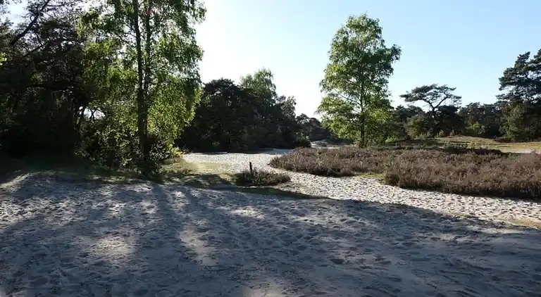 Cottage in Hoge Hexel