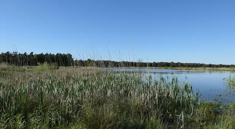 Cottage in Hoge Hexel