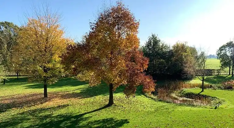 Semesterbostad i Hoge Hexel