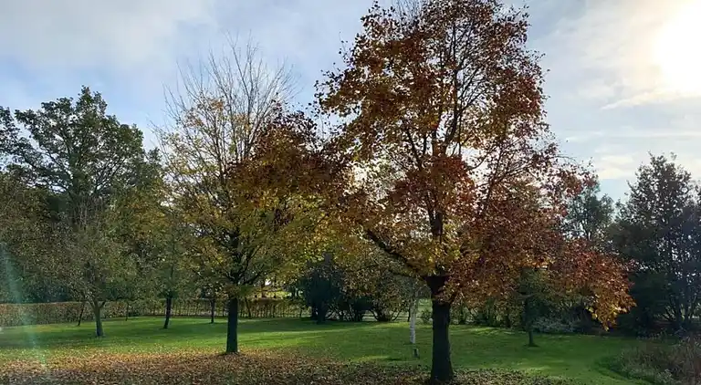 Cottage in Hoge Hexel