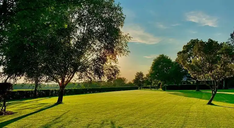 Cottage in Hoge Hexel