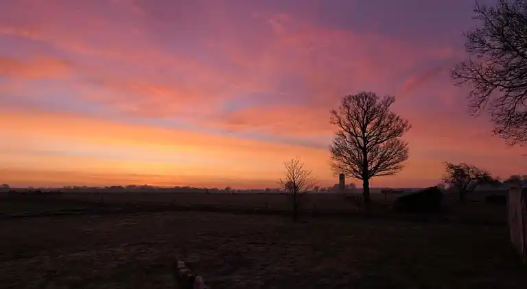 Cottage in Hoge Hexel