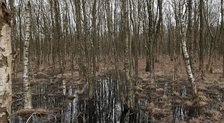 Semesterbostad i Hoge Hexel