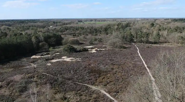 Cottage in Hoge Hexel