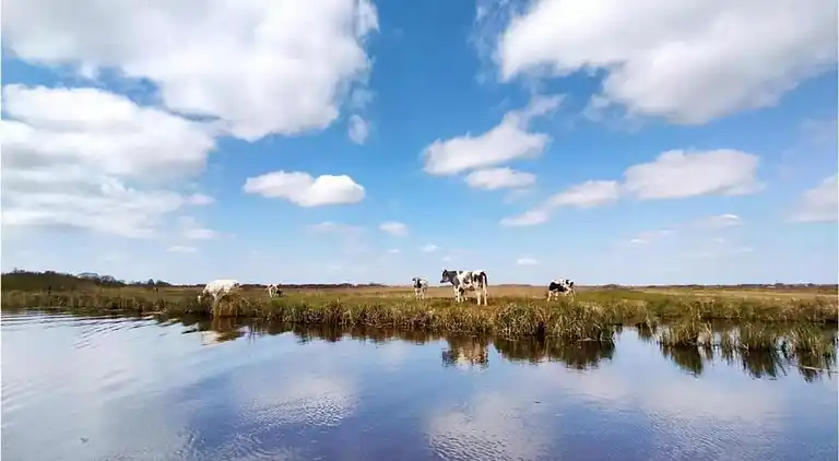 Cottage in Giethoorn