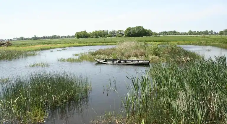 Cottage in Giethoorn