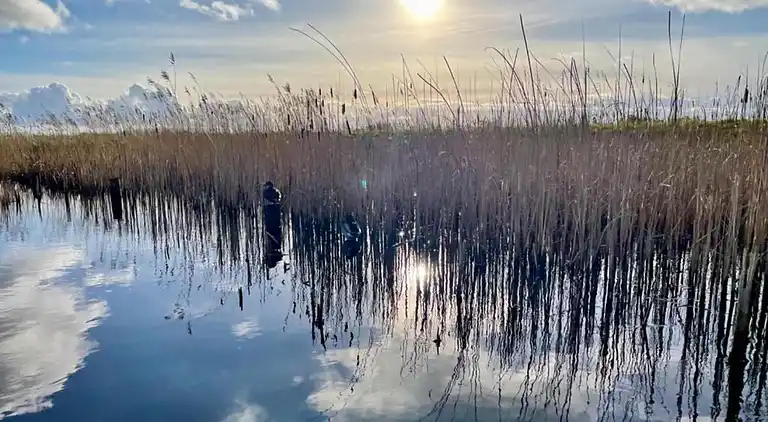 Holiday home in Giethoorn