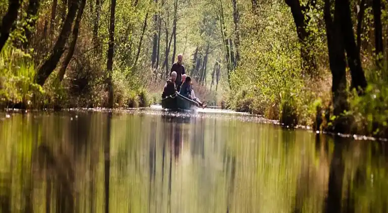 Holiday home in Paasloo