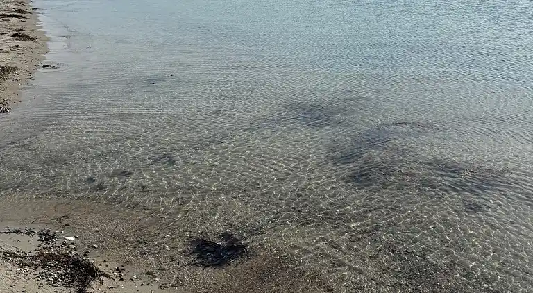 Gemütliches Ferienhaus in Kobæk Strand