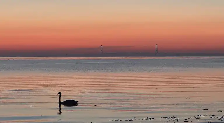 Gemütliches Ferienhaus in Kobæk Strand