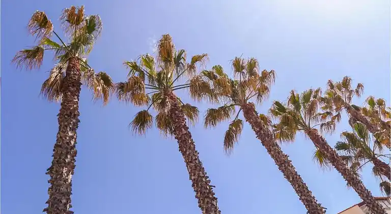 Holiday home in Occitanie