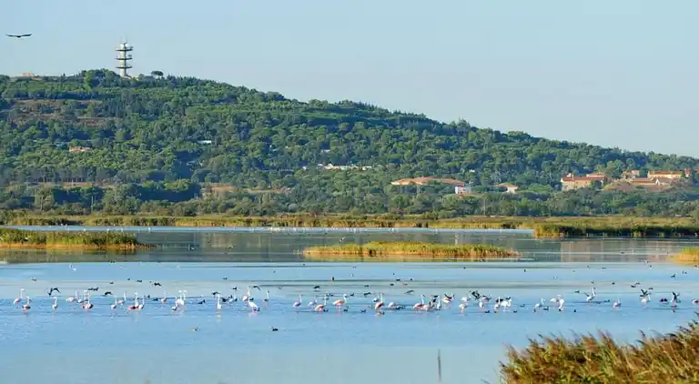 Holiday home in Occitanie