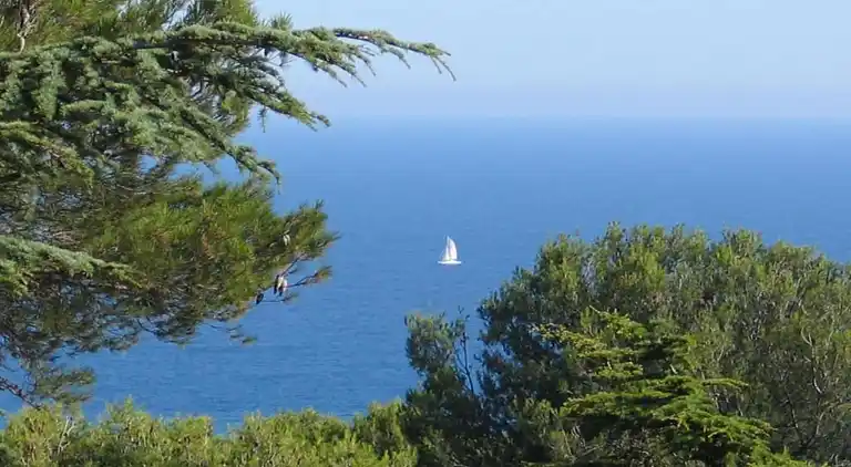 Holiday home in Occitanie