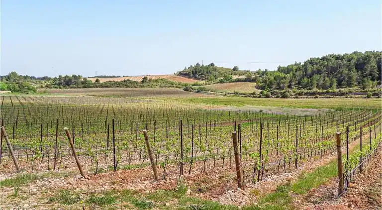 Holiday home in Occitanie