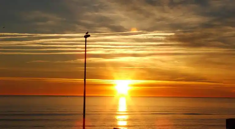 Ferielejlighed i Occitanie