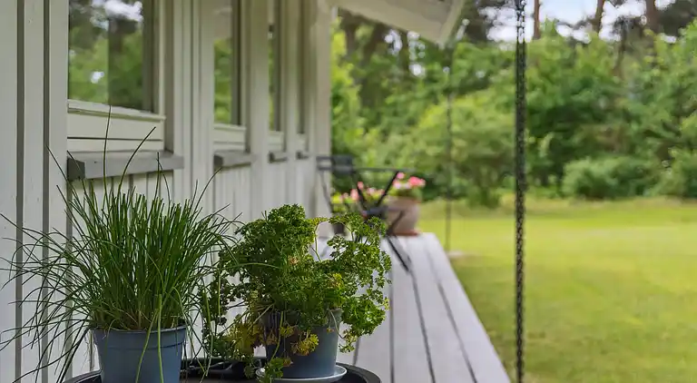 Hyggeligt og velindrettet sommerhus i Hornbæk