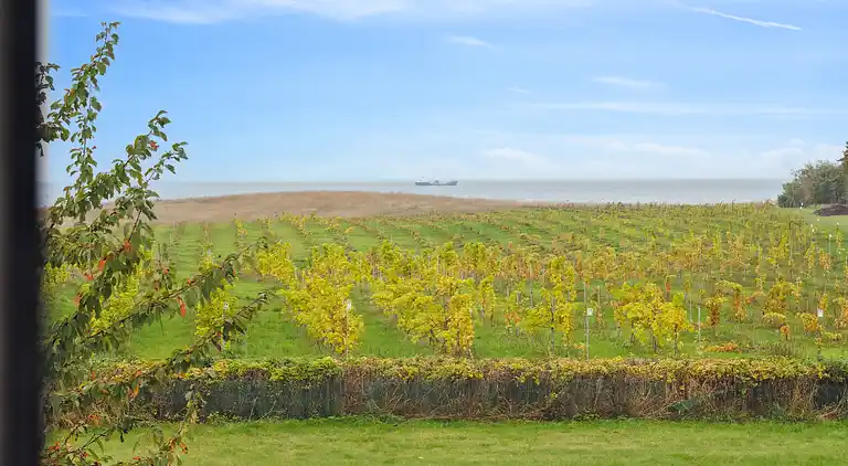 Italienisches Flair am WEINGUT bei Karrebæksminde