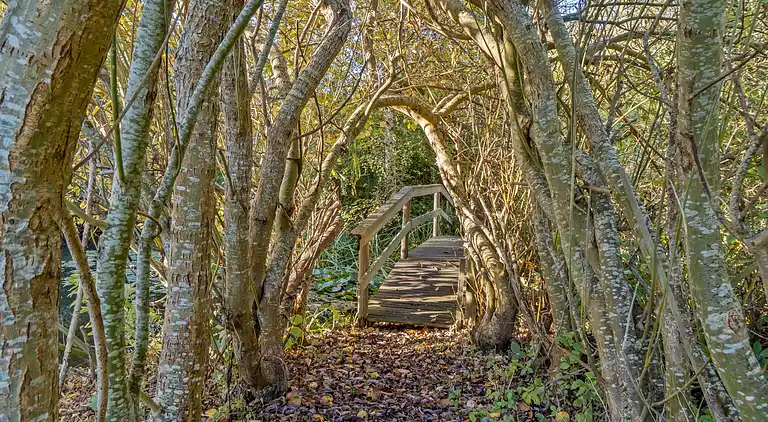 Italienisches Flair am WEINGUT bei Karrebæksminde