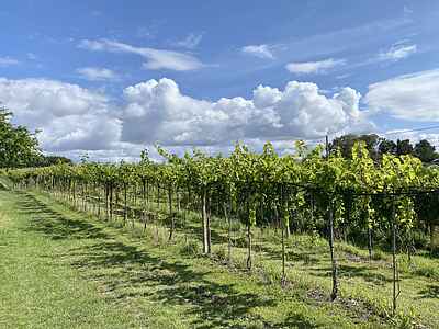 Vesterhavevej 204, lejl. 2