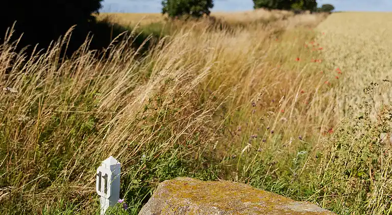 Frieden, Ruhe und gute Energie