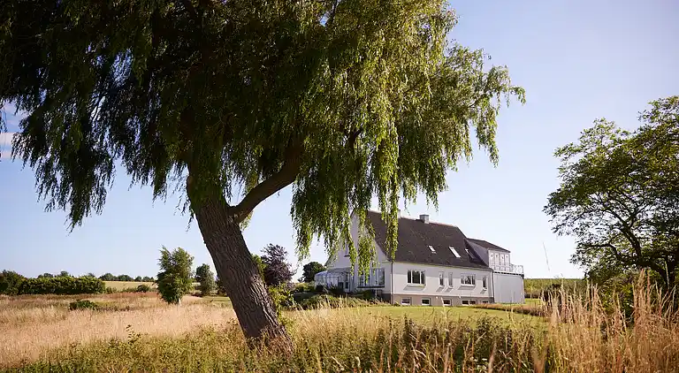 Frieden, Ruhe und gute Energie