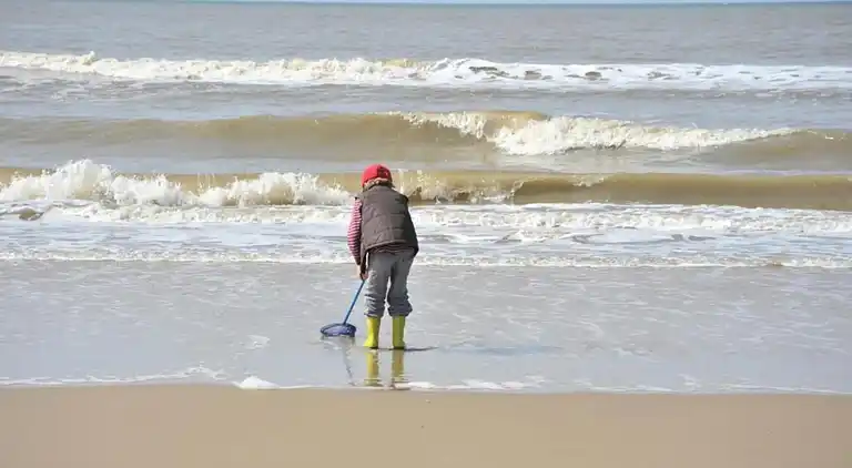 Cottage in Egmond aan Zee