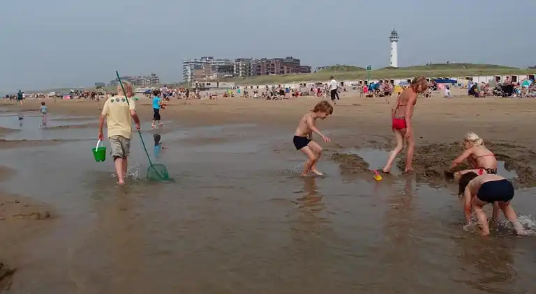 Cottage in Egmond aan Zee