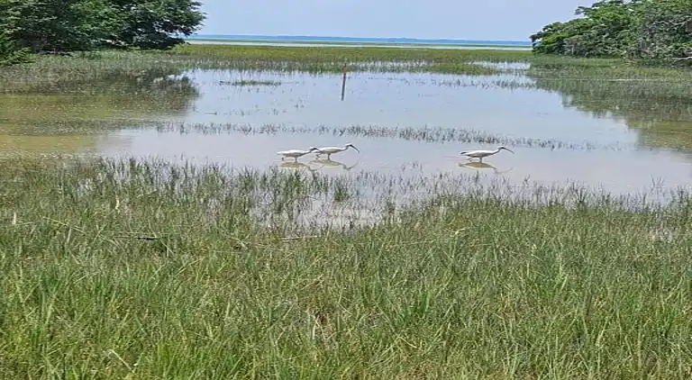 Ferielejlighed i Beaufort