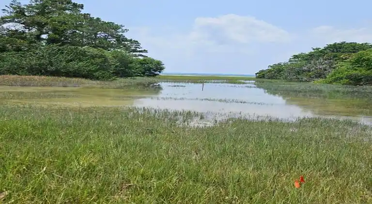 Ferielejlighed i Beaufort