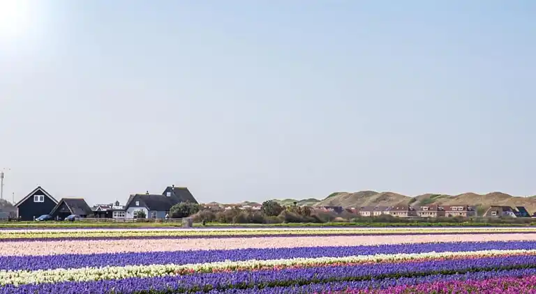 Bungalow i Callantsoog