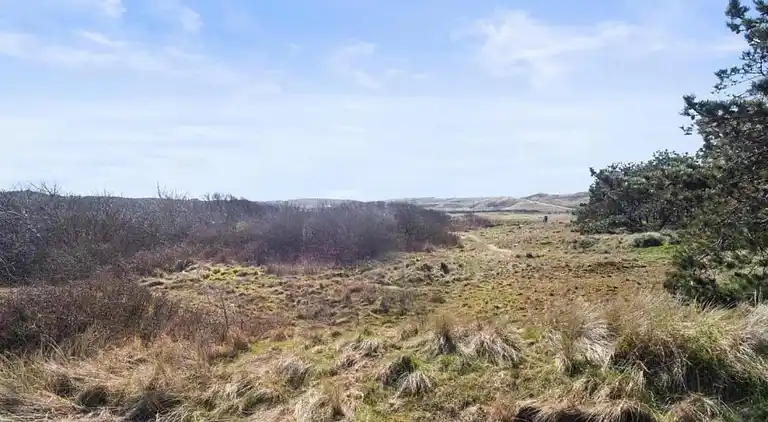 Bungalow i Callantsoog