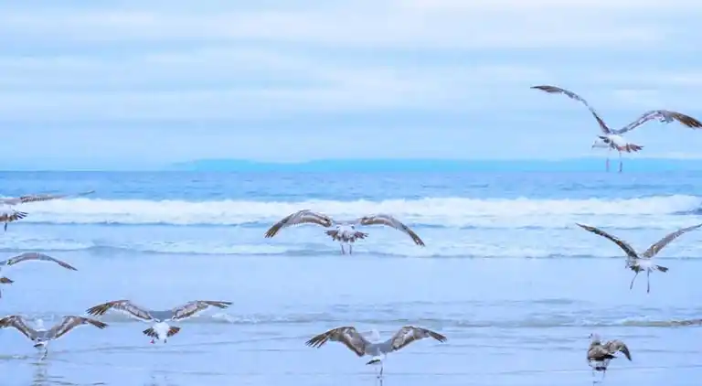 Bungalow i Callantsoog